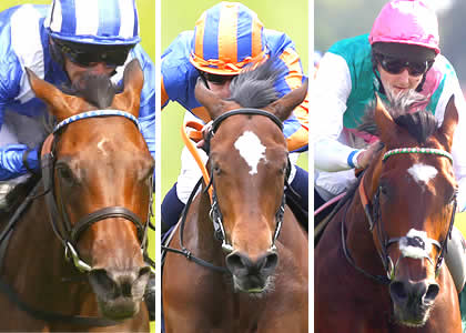 Provides access to all horse racing tips